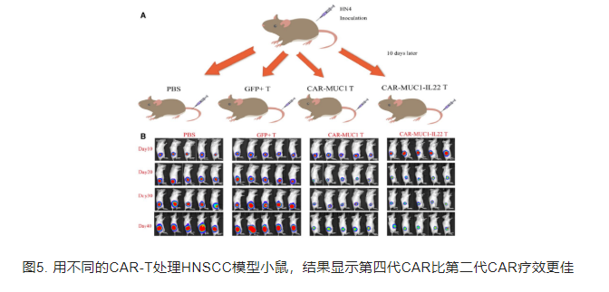 图5.png